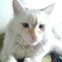 ну подскажите же кто может!!!!места себе не нахожу! ну подскажите же кто может!!!!места себе не нахожу!